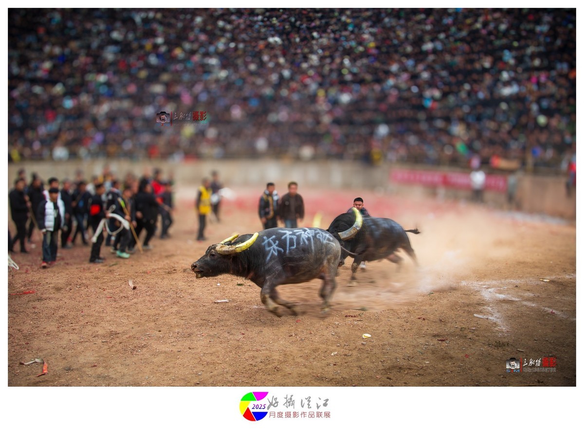 贵州从江民俗春节活动