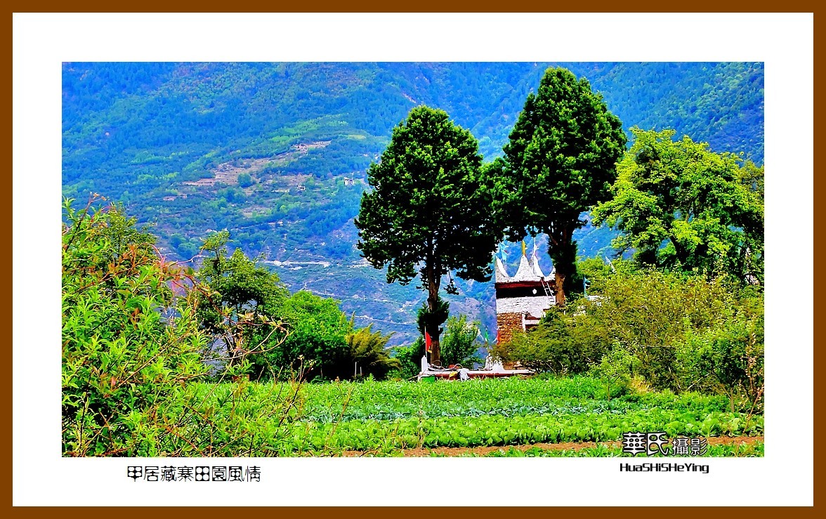 2023西行游记（四川067）—甲居藏寨田园风情（甘孜州丹巴县）