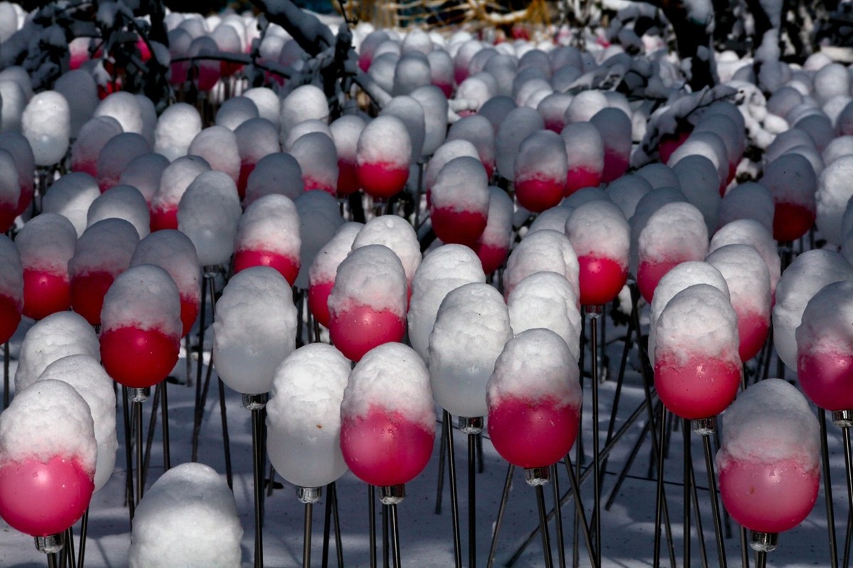 济南——大雪后景色
