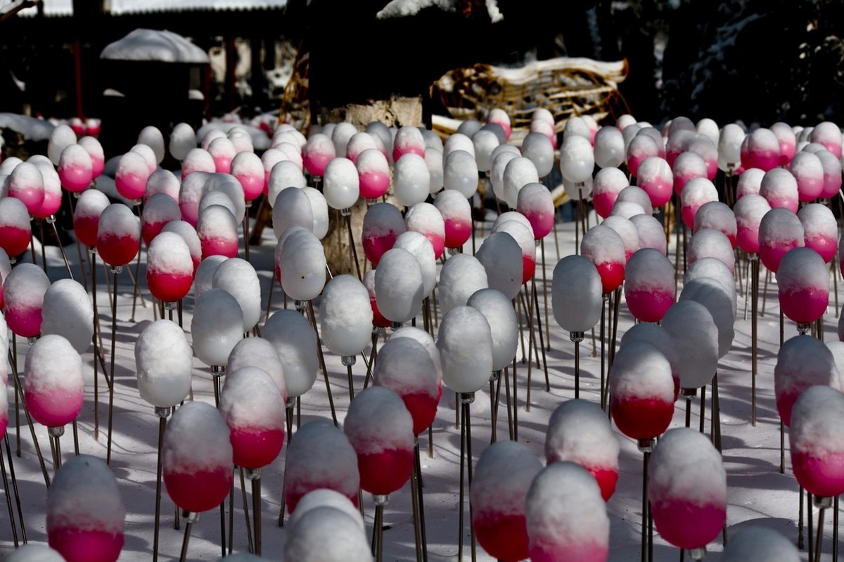 济南——大雪后景色