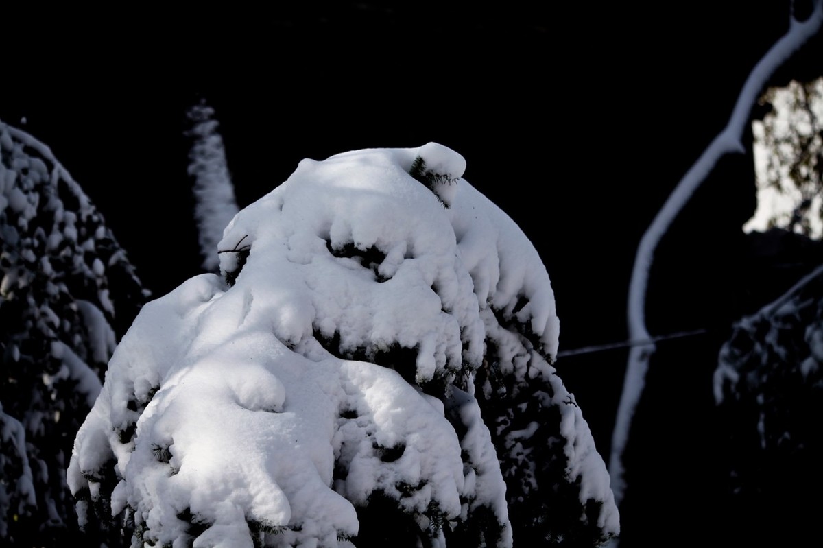 济南——大雪后景色