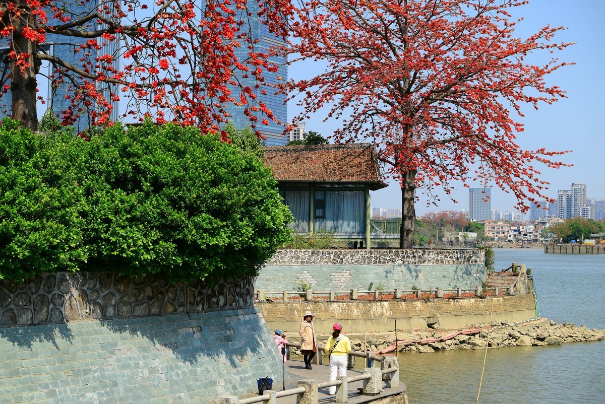 番禺区的洛溪岛。