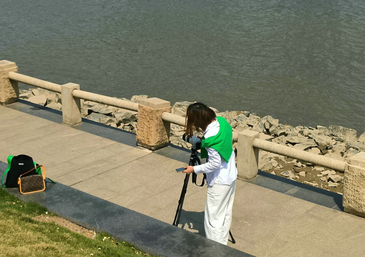 番禺区的洛溪岛。