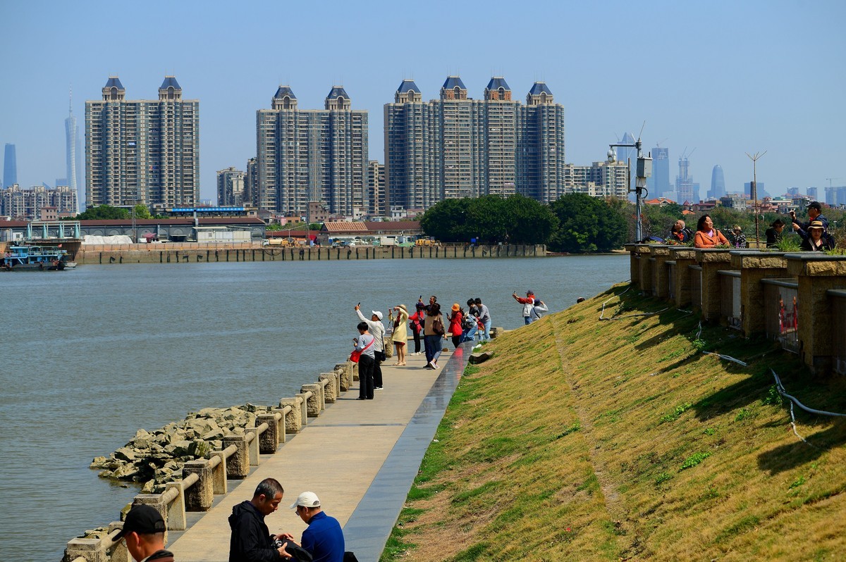 番禺区的洛溪岛。