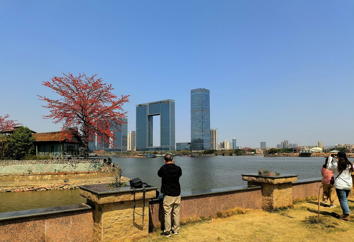 番禺区的洛溪岛。