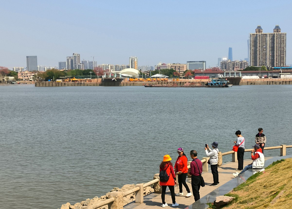 番禺区的洛溪岛。