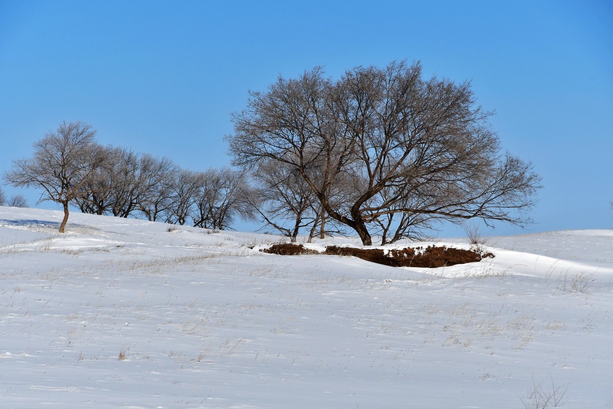 上大兴安岭黄岗梁随拍