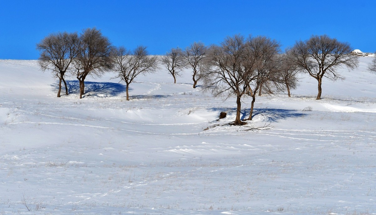 上大兴安岭黄岗梁随拍