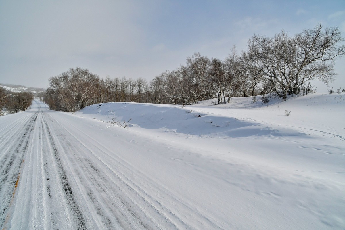 上大兴安岭黄岗梁随拍
