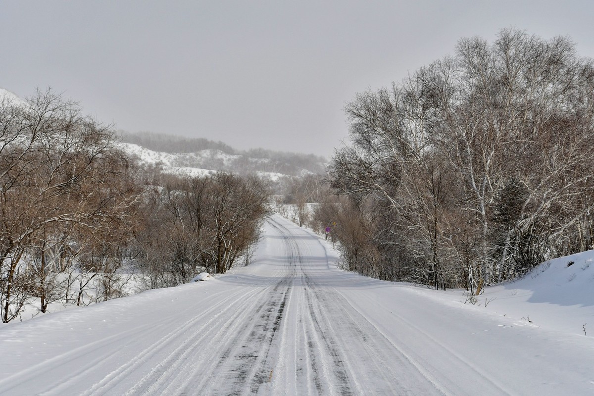上大兴安岭黄岗梁随拍