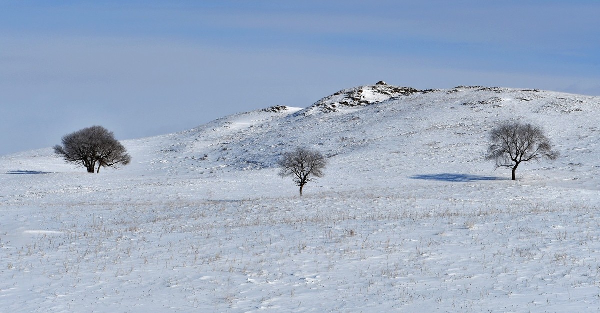 上大兴安岭黄岗梁随拍