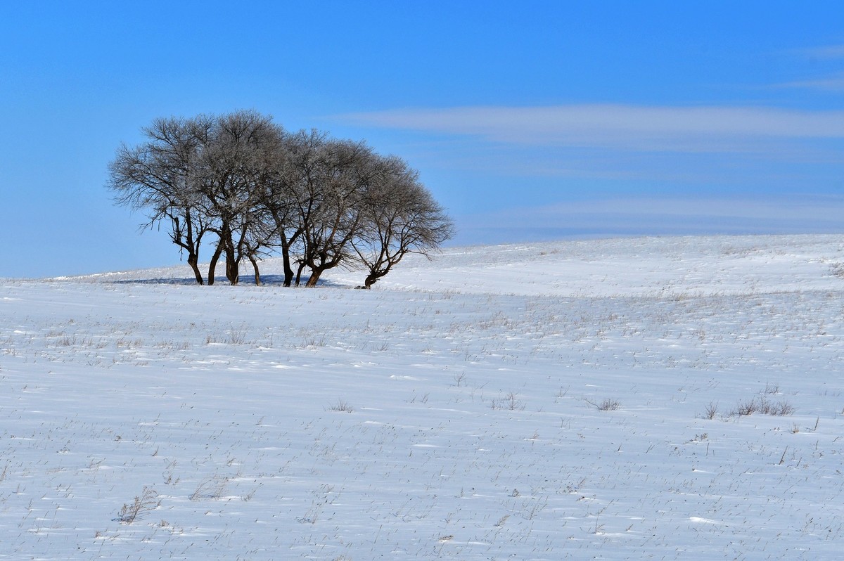 上大兴安岭黄岗梁随拍