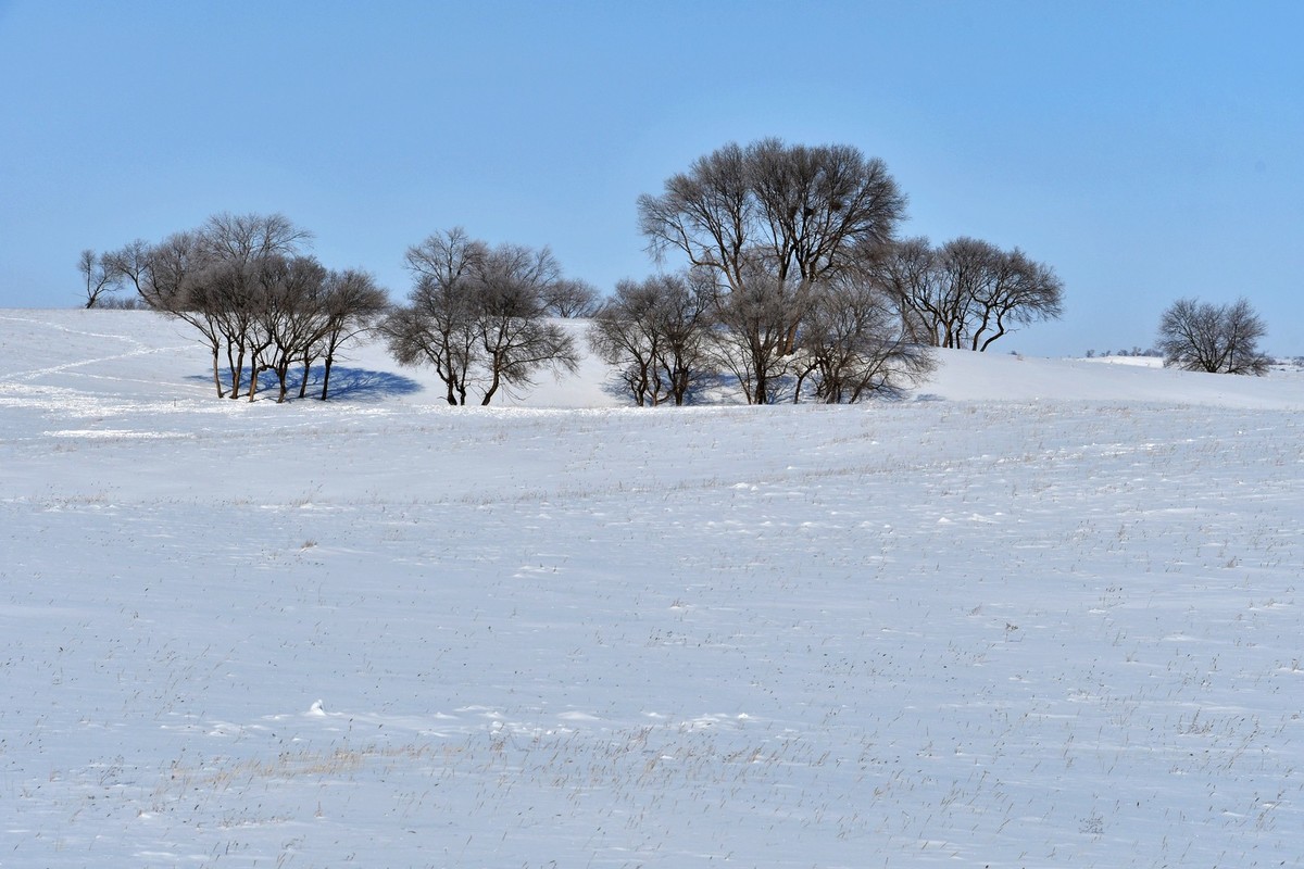 上大兴安岭黄岗梁随拍