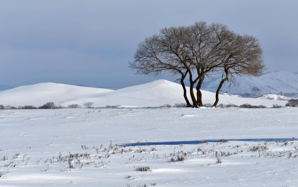 上大兴安岭黄岗梁随拍