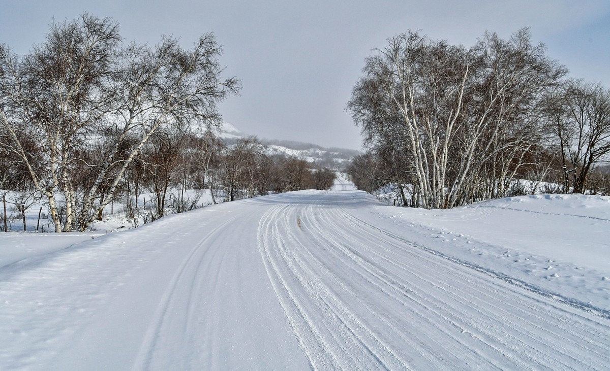 上大兴安岭黄岗梁随拍