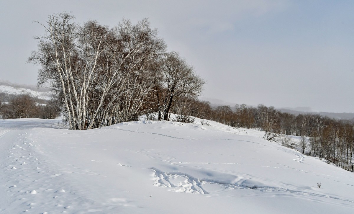 上大兴安岭黄岗梁随拍