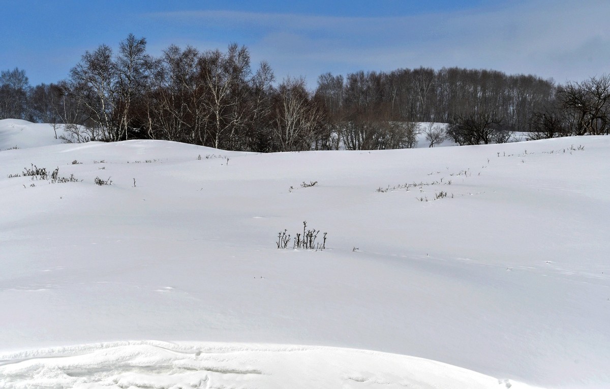 上大兴安岭黄岗梁随拍