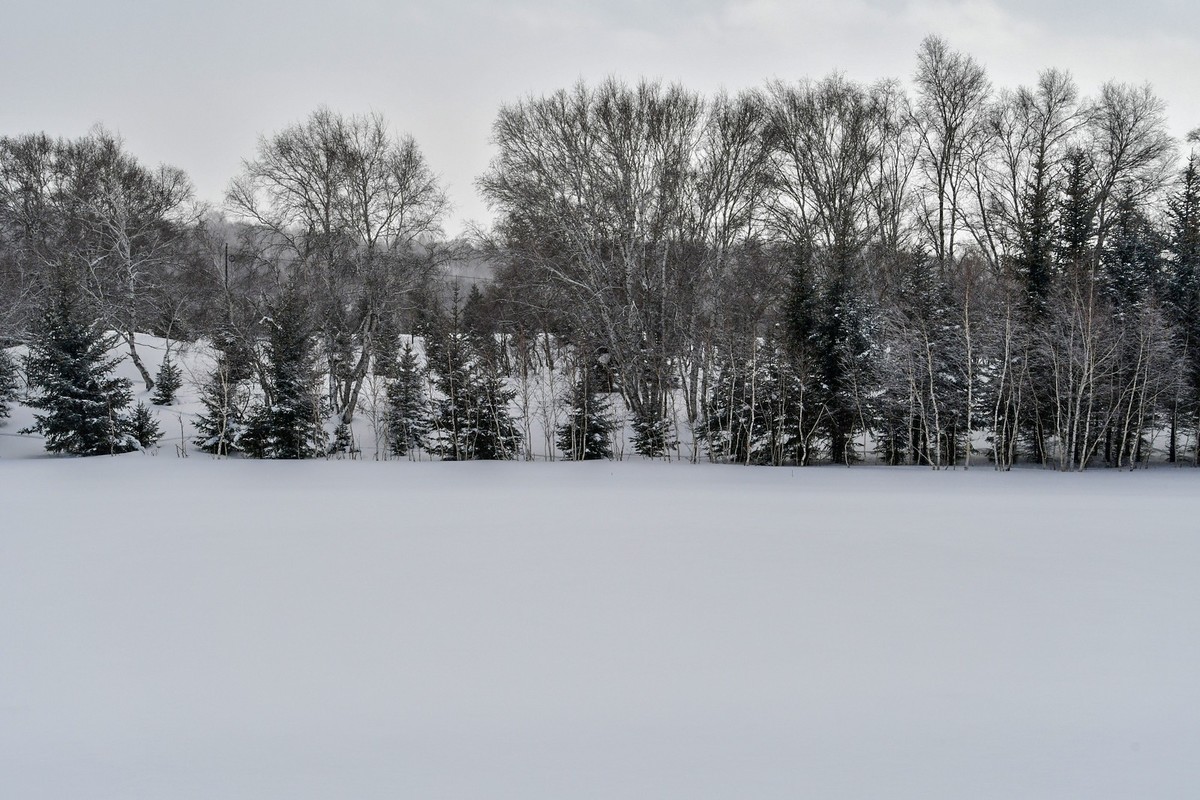 上大兴安岭黄岗梁随拍