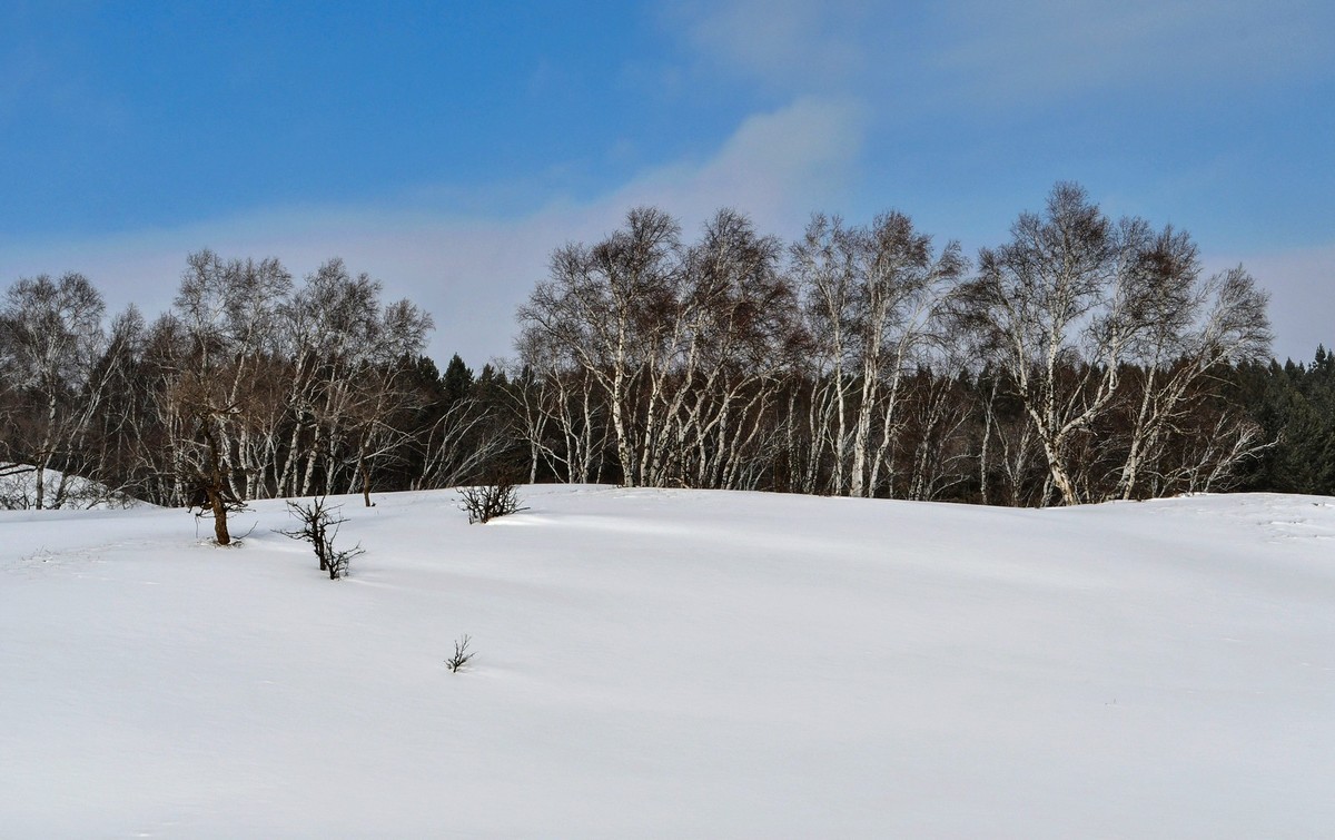 上大兴安岭黄岗梁随拍