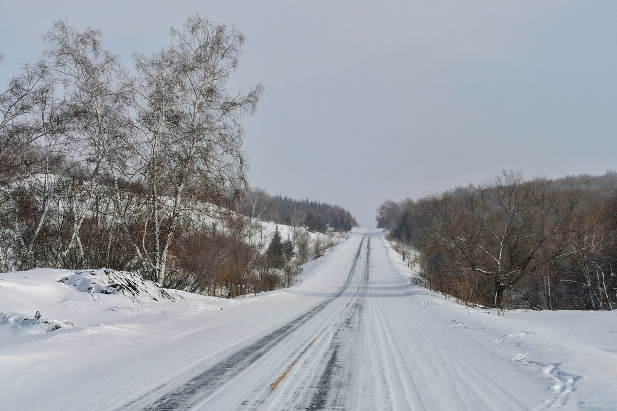 上大兴安岭黄岗梁随拍