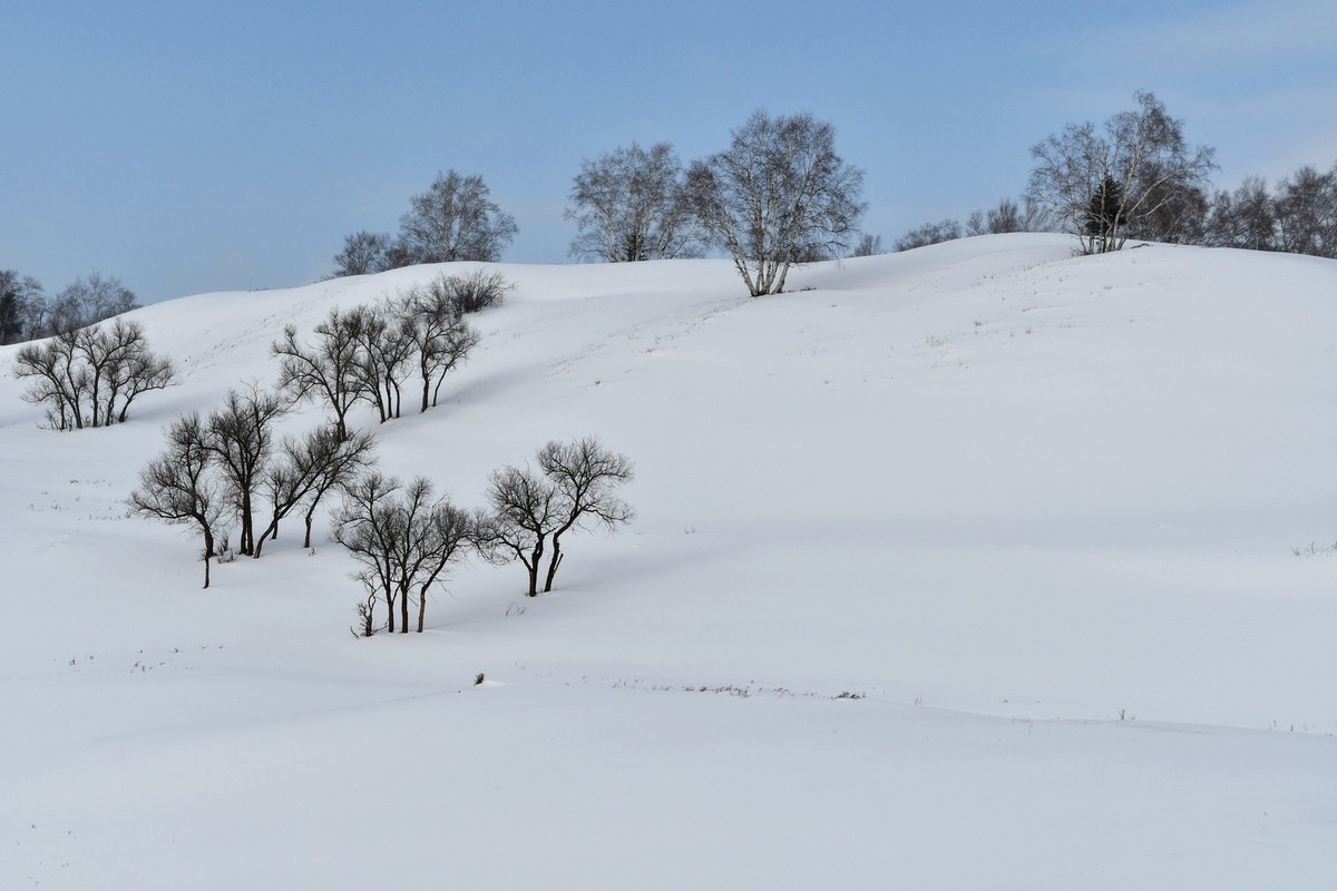 上大兴安岭黄岗梁随拍