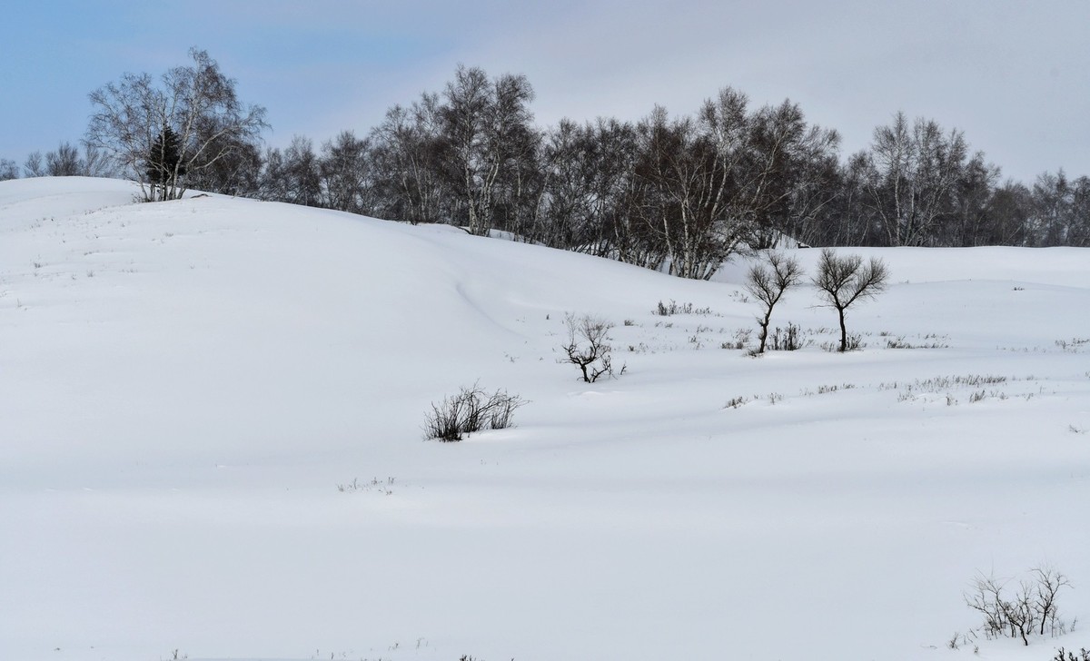 上大兴安岭黄岗梁随拍