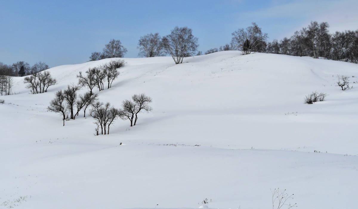 上大兴安岭黄岗梁随拍