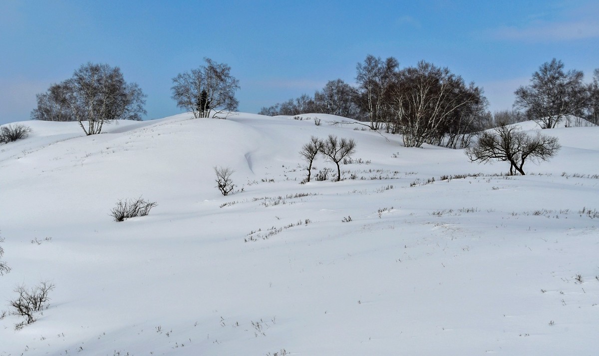 上大兴安岭黄岗梁随拍
