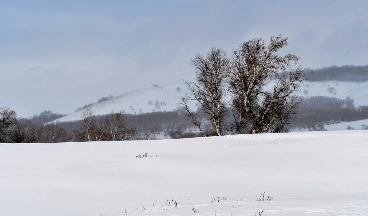 上大兴安岭黄岗梁随拍