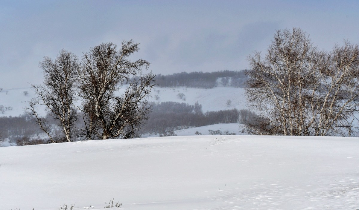 上大兴安岭黄岗梁随拍