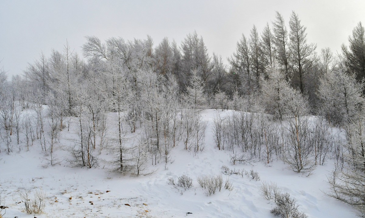 上大兴安岭黄岗梁随拍