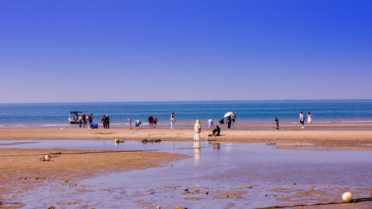 外出随拍（413）.