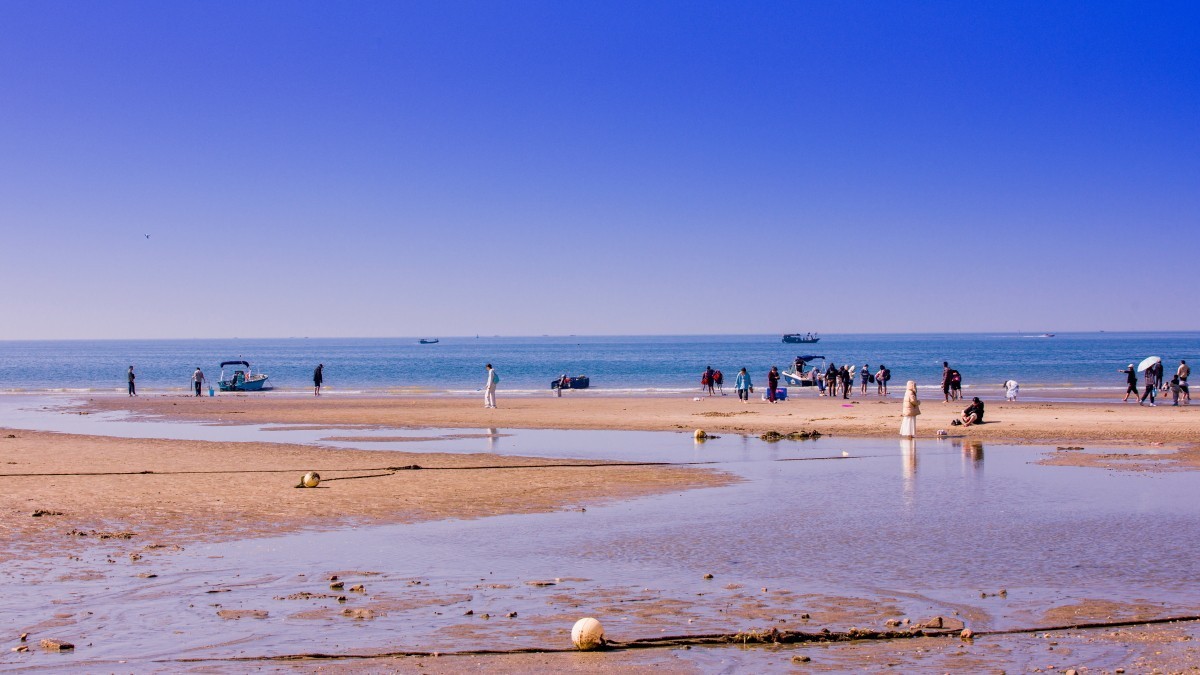 外出随拍（413）.