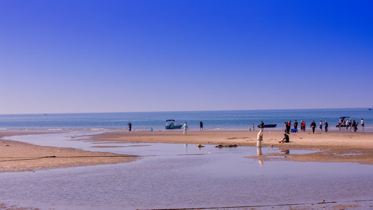 外出随拍（413）.