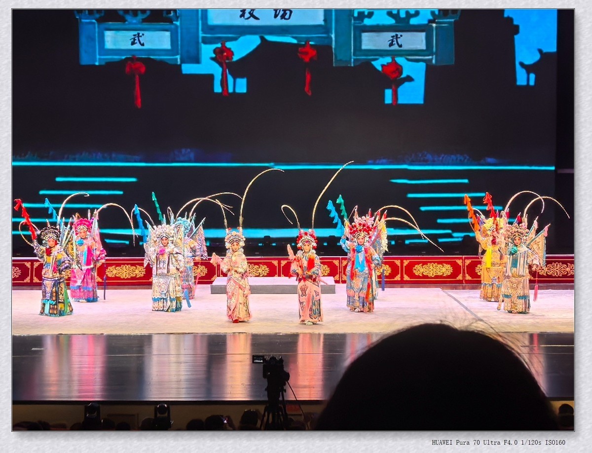 看戏【乙巳年-157】