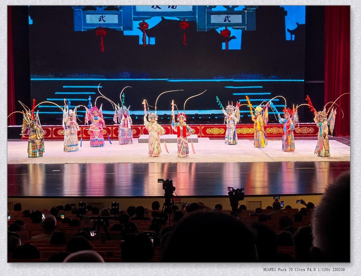 看戏【乙巳年-157】