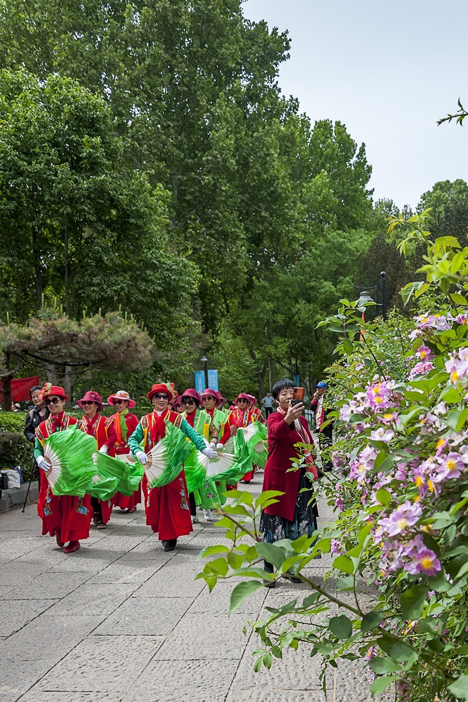 百花公园的春天-5