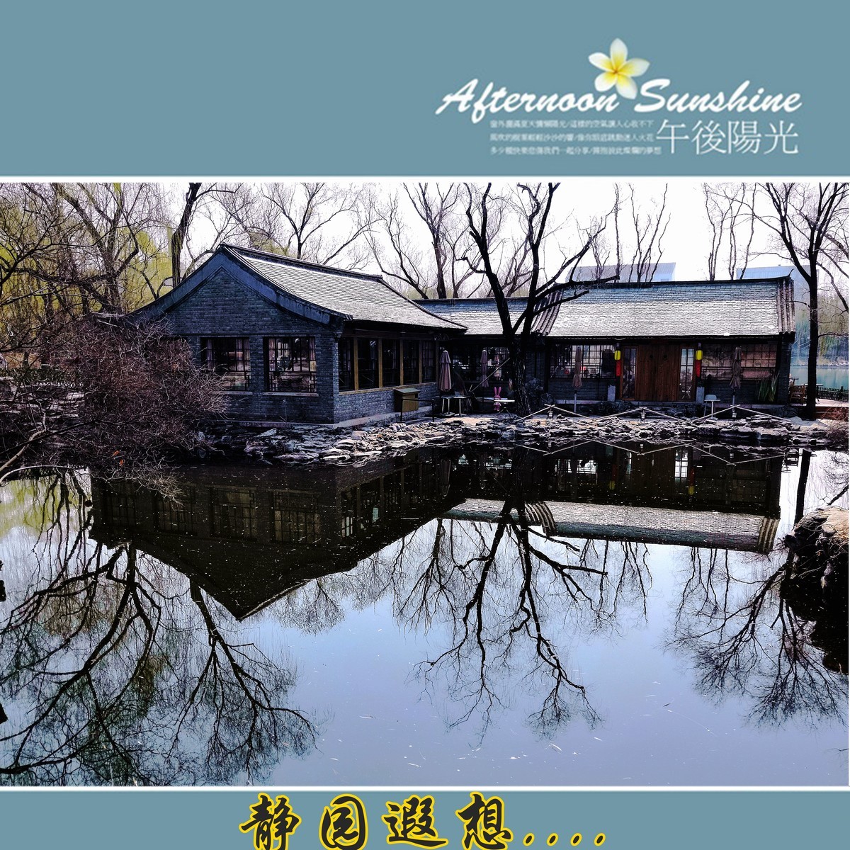 柳荫观柳....柳荫公园踏青随拍