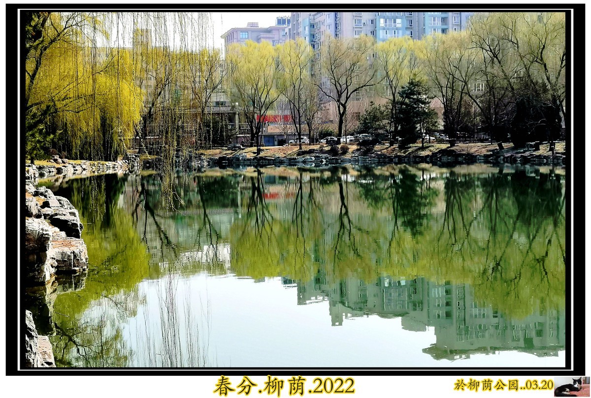 柳荫观柳....柳荫公园踏青随拍