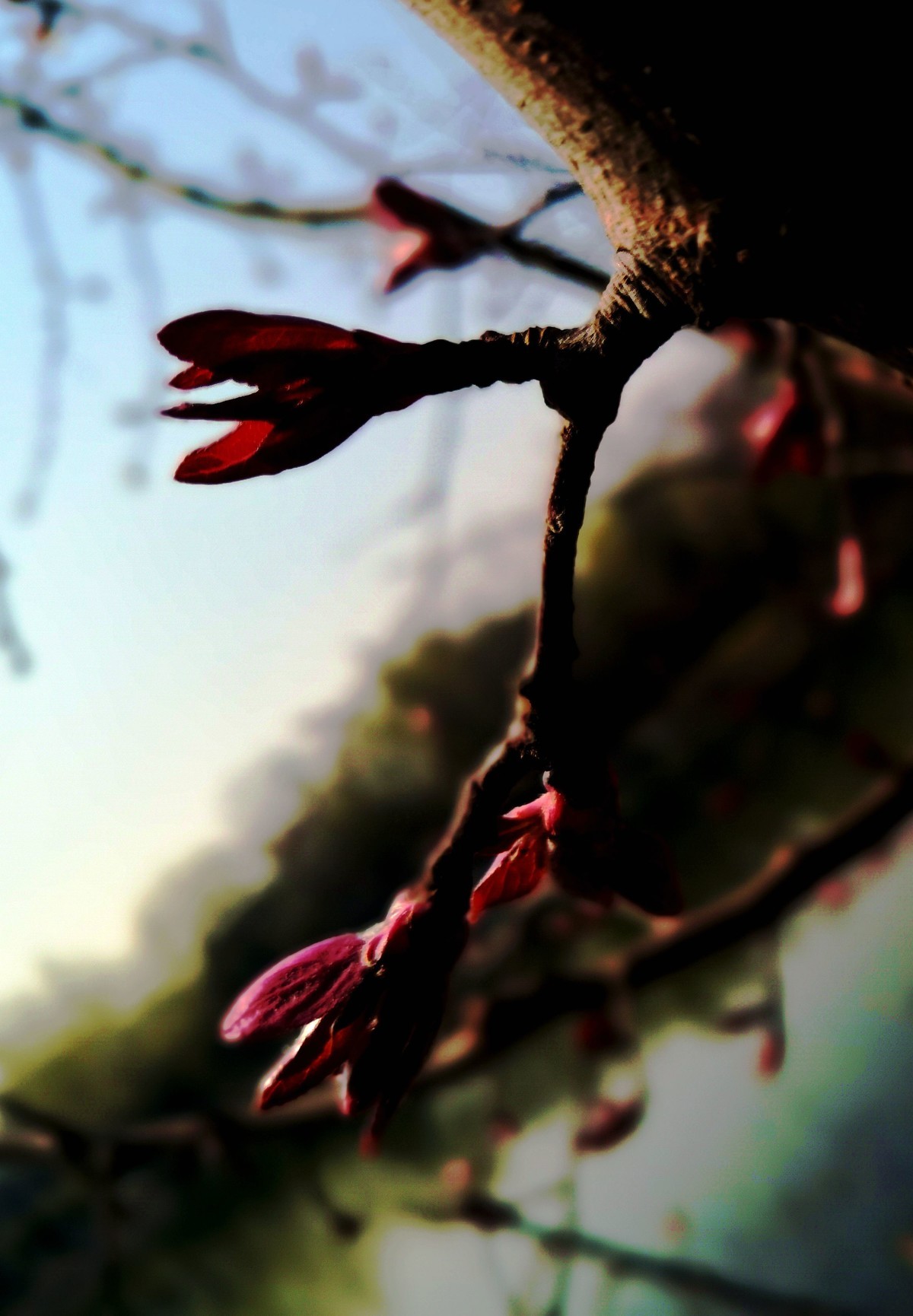 柳荫观柳....柳荫公园踏青随拍