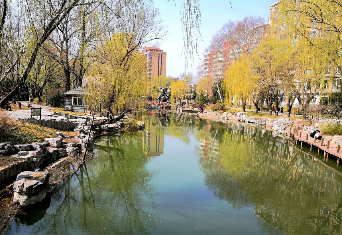 柳荫观柳....柳荫公园踏青随拍