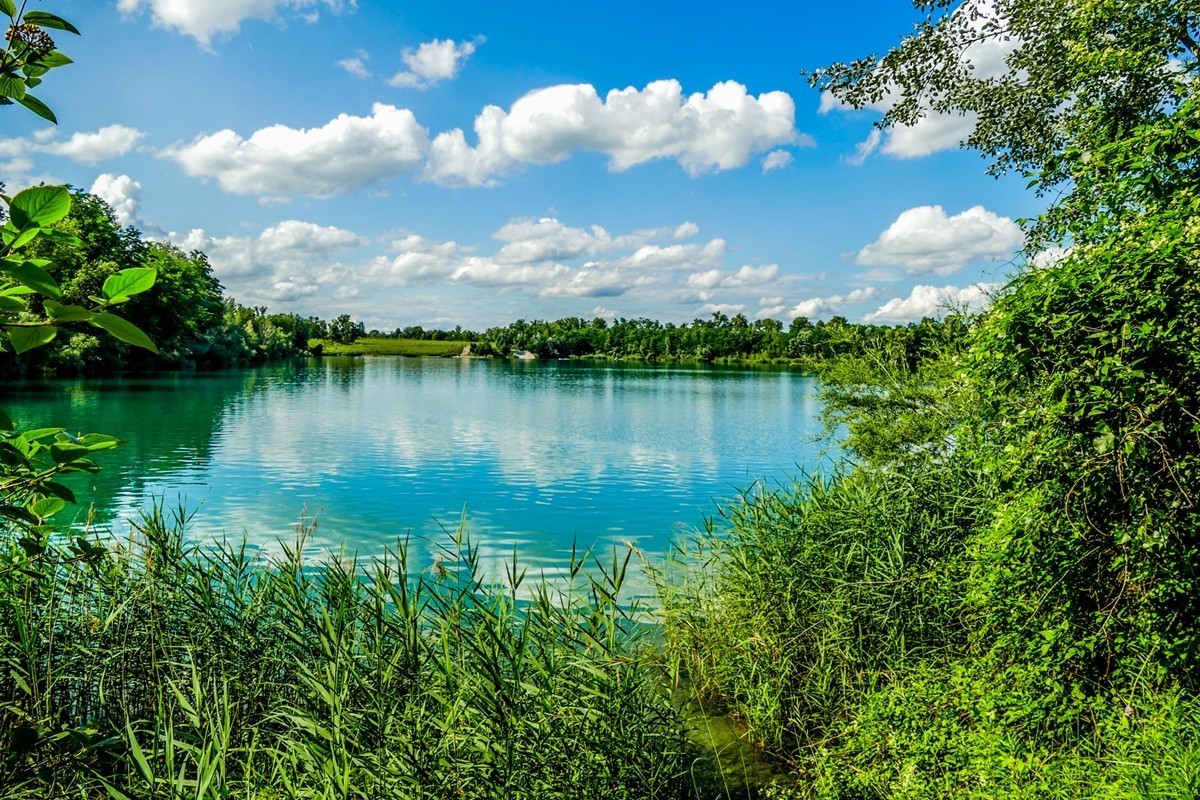 “野湖私泳”--相应“党国”节能号召，节气省油，支持（愚痴）污国！