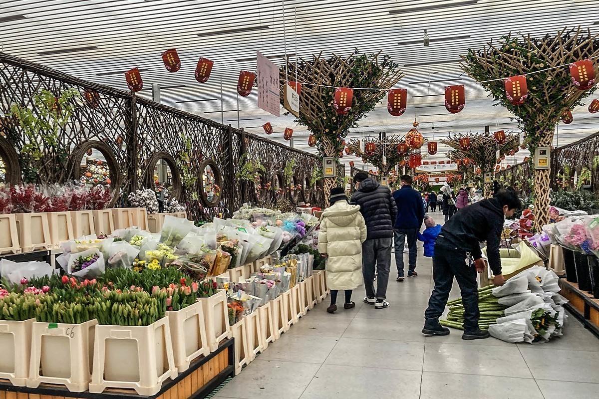 #2023不一样的春节# 花乡百花开