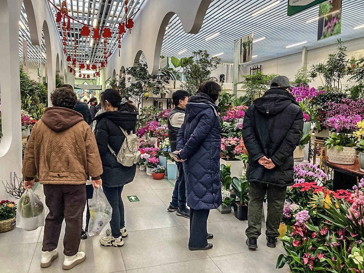 #2023不一样的春节# 花乡百花开