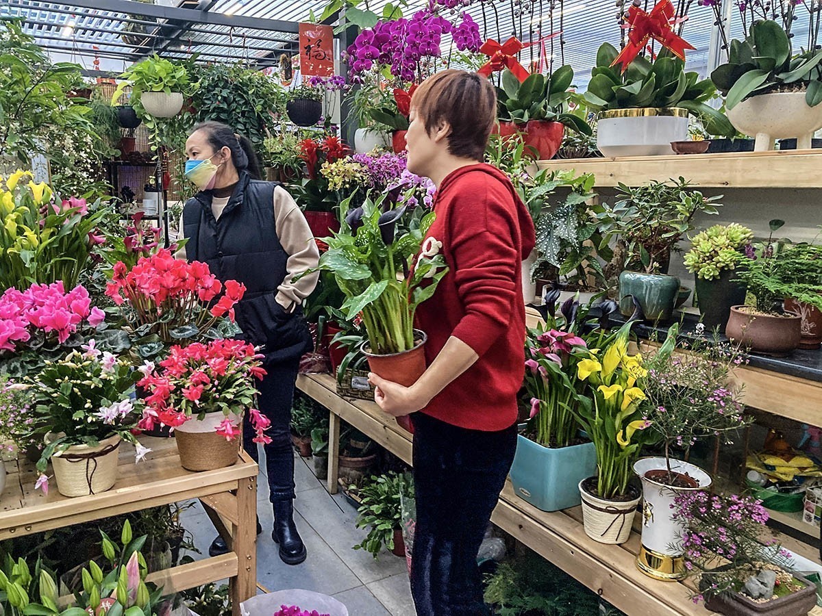 #2023不一样的春节# 花乡百花开