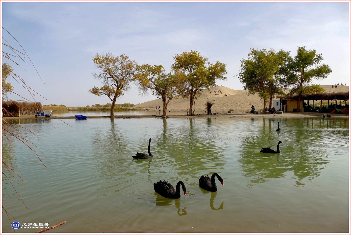 2024-（016）库尔勒罗布人村寨（十一）