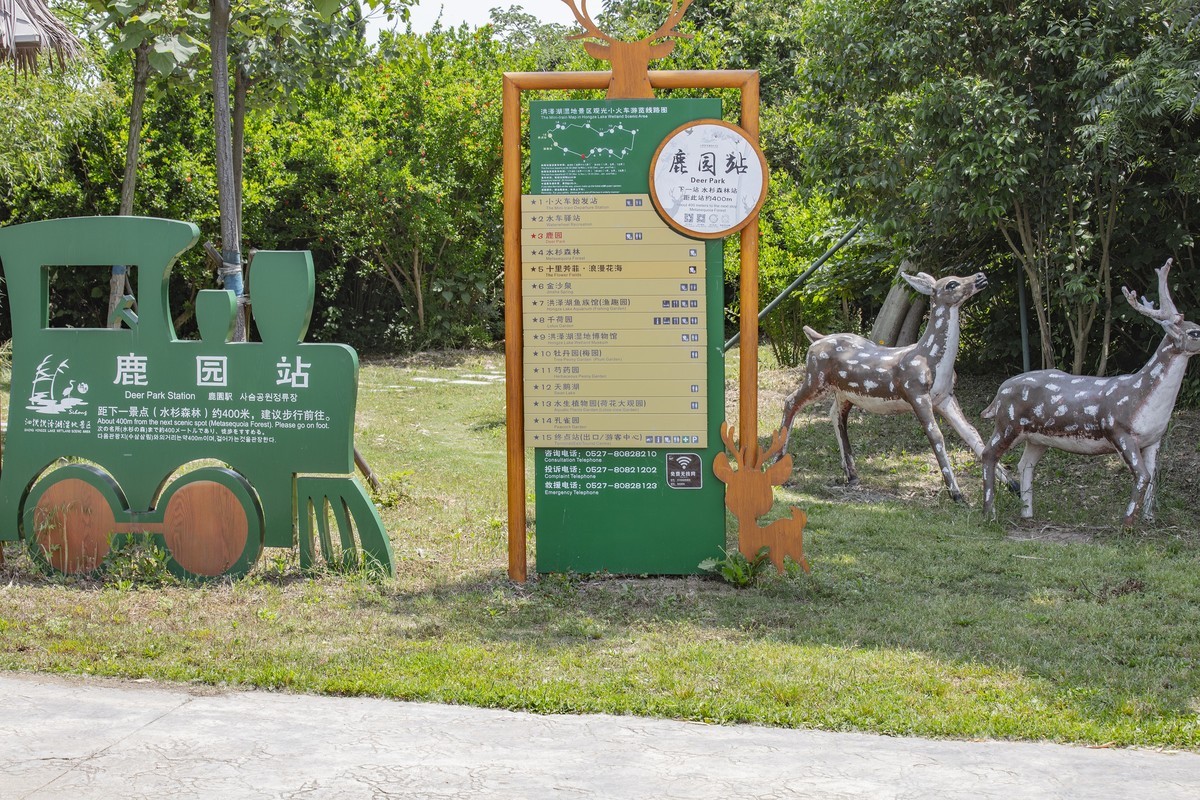 洪泽湖湿地公园4
