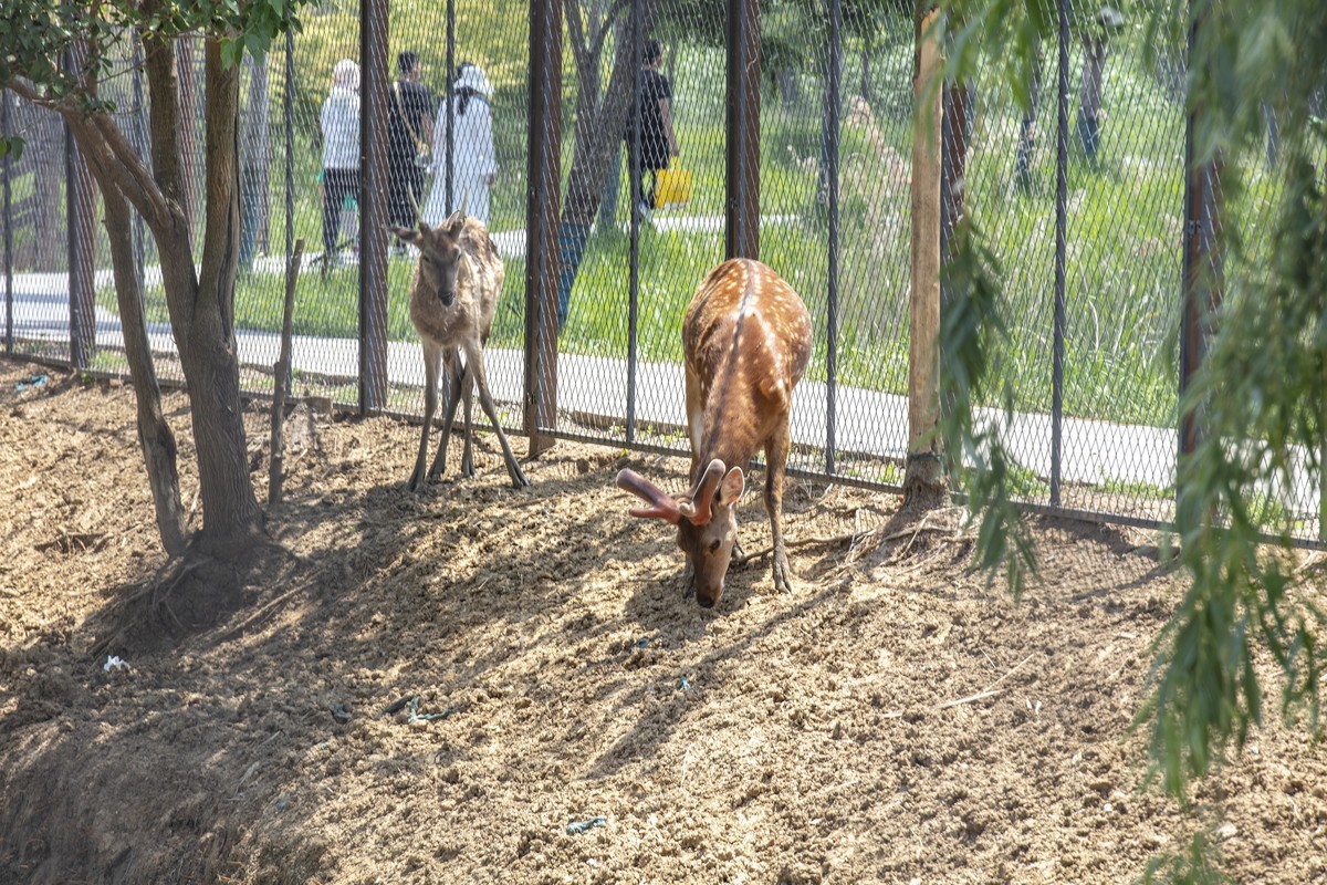 洪泽湖湿地公园4