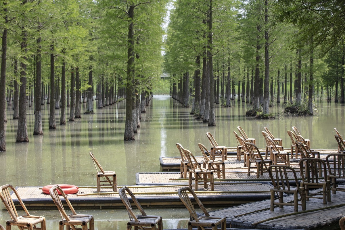 洪泽湖湿地公园4