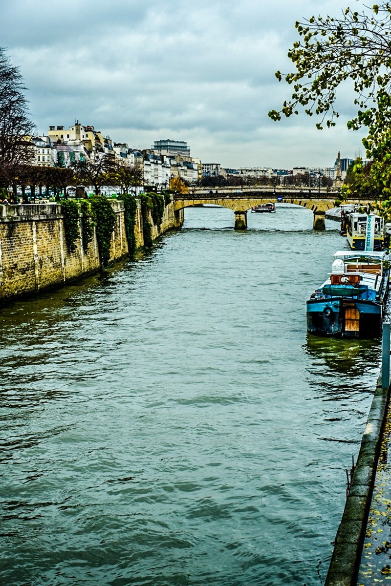 冬览"塞纳河"(巴黎)-中关村在线摄影论坛
